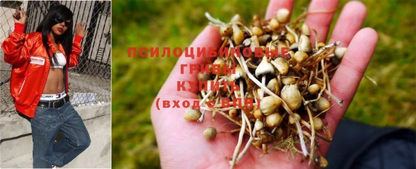бошки Белоозёрский