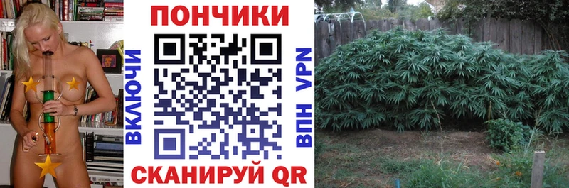 МАРИХУАНА Amnesia  купить наркотики сайты  блэк спрут   Комсомольск 